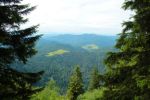 2014-07-05_Laengental-N-Hochweg (723). JPG